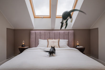 A cat lounges on a bed by a skylight in a cozy building with wooden furniture