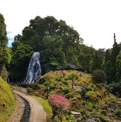 Scenic view of waterfall in forest against clear sky