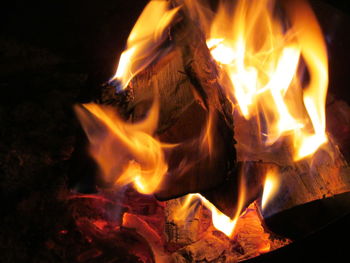 Close-up of bonfire at night