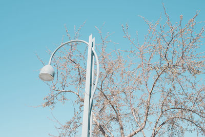 Low angle view of street light by tree against clear sky