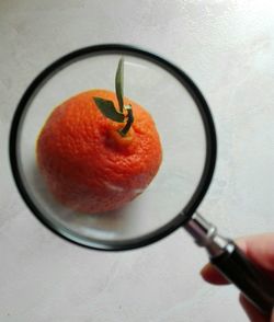 Close-up of hand holding apple