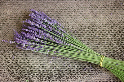 Bouquet of dried lavender on a textured beige surface