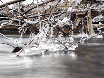 Frozen water in winter