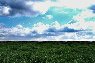 Scenic view of grassy field against cloudy sky