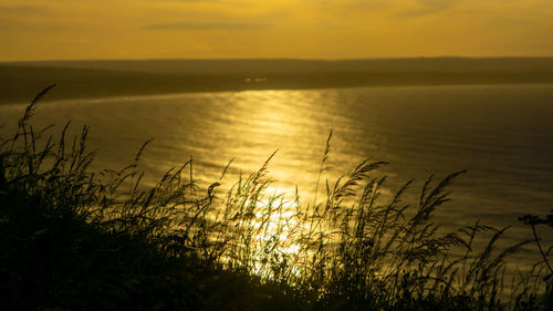 Scenic view of sea against sunset sky