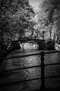 Bridge over river against trees