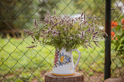 Close-up of vase with wildflowers 