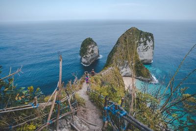 High angle view of plants by sea against sky