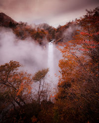 nature