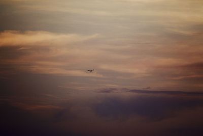 Low angle view of airplane flying in sky