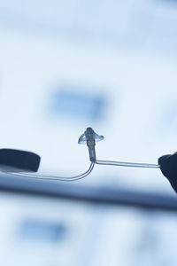 Low angle view of bird on cable against sky