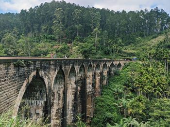 9 arch bridge amidst trees in forest in sri lanka