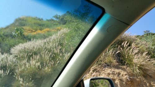 Railroad track seen through train windshield