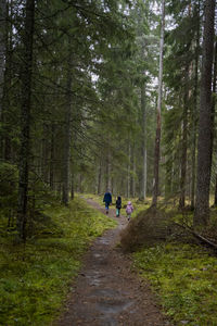 Rear view of people walking on footpath in forest