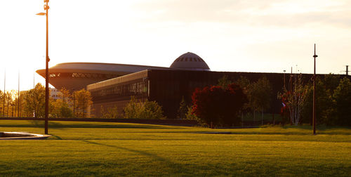 View of trees on lawn