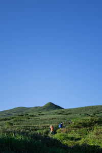 Rear view of people on field against clear blue sky