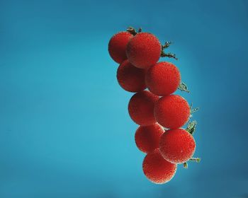 Low angle view of red berries against blue background