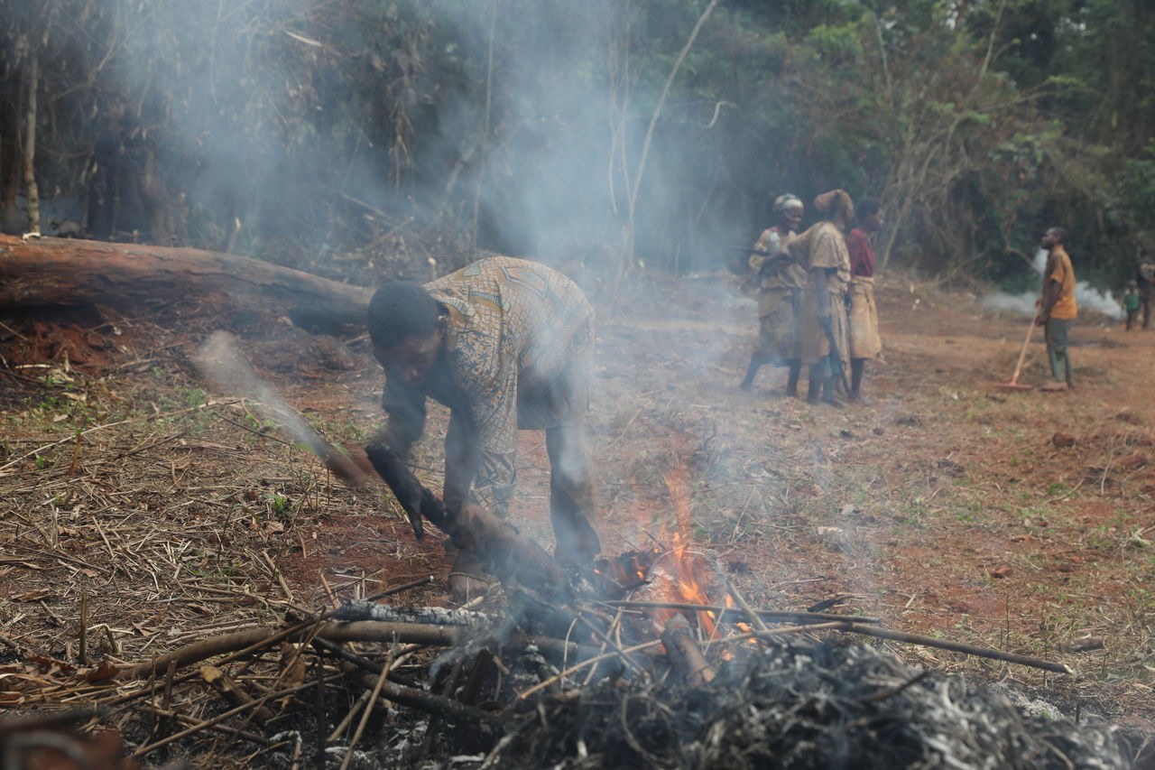 burning, smoke, nature, tree, fire, land, group of people, forest, environment, plant, occupation, men, animal, heat, animal themes, mammal, flame, adult, outdoors, wildlife, day