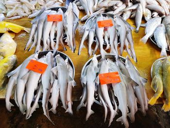 High angle view of fish for sale in market