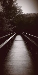 Empty footbridge along trees