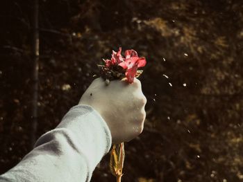 Close-up of hand holding flower