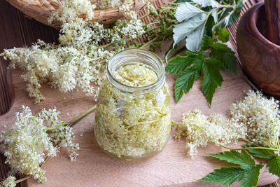 Close-up of potted plant on table