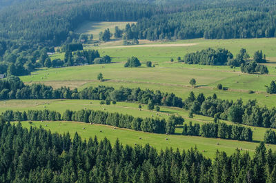 Vie from szczeliniec wielki moutain, poland