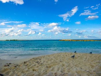 Scenic view of beach against sky