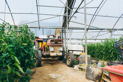 Agricultural machinery in a tomato field.