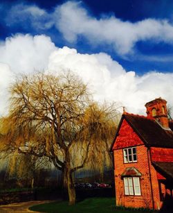 Low angle view of trees and buildings against sky