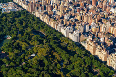 High angle view of trees and buildings in city