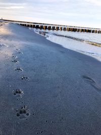Paw prints at beach against sky
