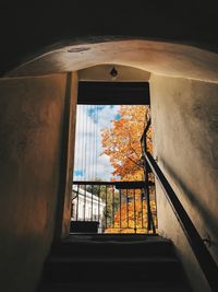 Low angle view of steps in building