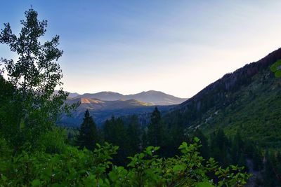 Timpanogos hiking trail landscape views in uinta wasatch cache national forest utah