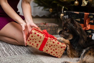 Midsection of woman with dog