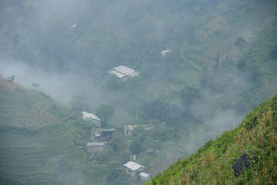 High angle view of trees and buildings