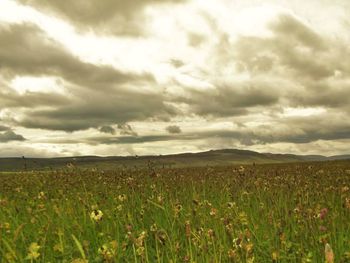 Scenic view of grassy field against cloudy sky