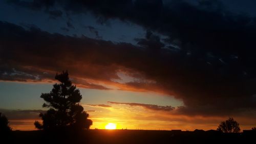 Silhouette trees on field against dramatic sky during sunset