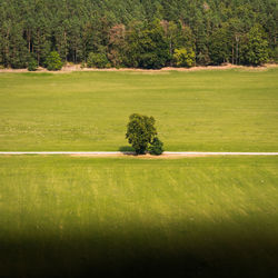 Scenic view of golf course