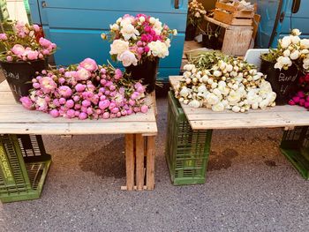 Flower pots for sale at market stall