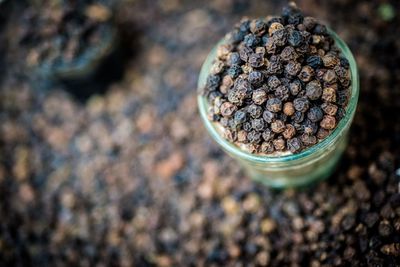 High angle view of black peppercorn in bowl