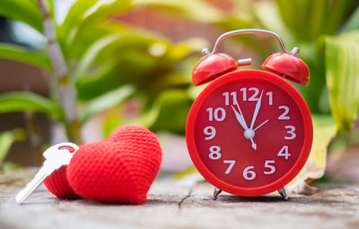 Close-up of clock on plant