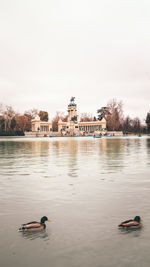 View of birds in lake