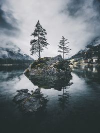 Trees on rock in lake against cloudy sky