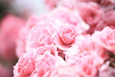 Close-up of pink flower bouquet