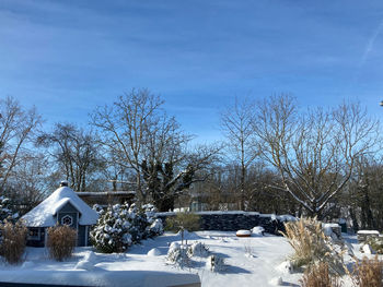 Snow covered bare trees and buildings against sky