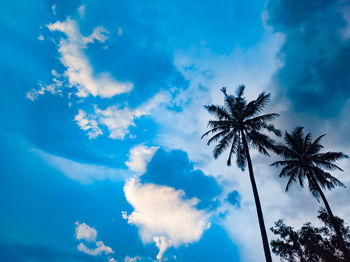 Low angle view of silhouette coconut palm tree against blue sky