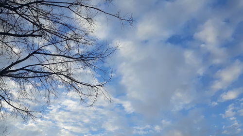 Low angle view of bare tree against cloudy sky