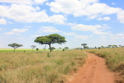 Dirt road amidst field against sky