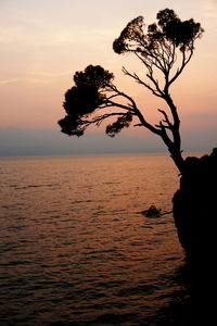 Silhouette tree by sea against sky during sunset